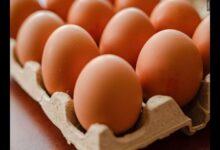 Louisiana egg recall: Salmonella risk tied to nearly 1.6 million dozen eggs from Midwest Poultry