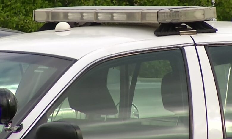 McLean daycare worker charged after police say she pushed, hit a pair of toddlers – WTOP News McLean daycare worker charged after police say she pushed, hit a pair of toddlers – WTOP News