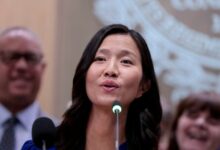 Wu working to find out which property owners may want to lease parking to ICE, she says
