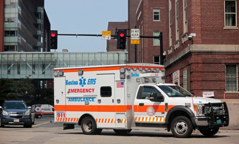 2 EMTs were bitten, kicked, and struck while responding to call at Boston’s Caribbean festival, union says 2 EMTs were bitten, kicked, and struck while responding to call at Boston’s Caribbean festival, union says
