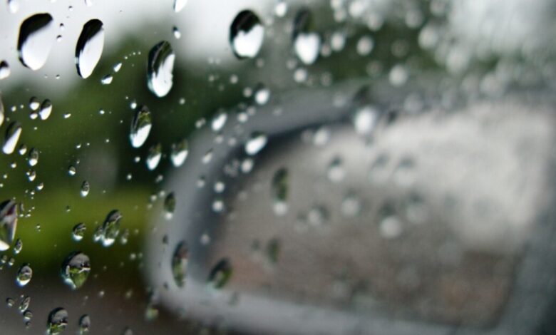 Humid weekend ahead with more storms possible