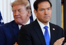 US set for largest mass visa revocation in history targeting up to 200,000 foreigners, officials say