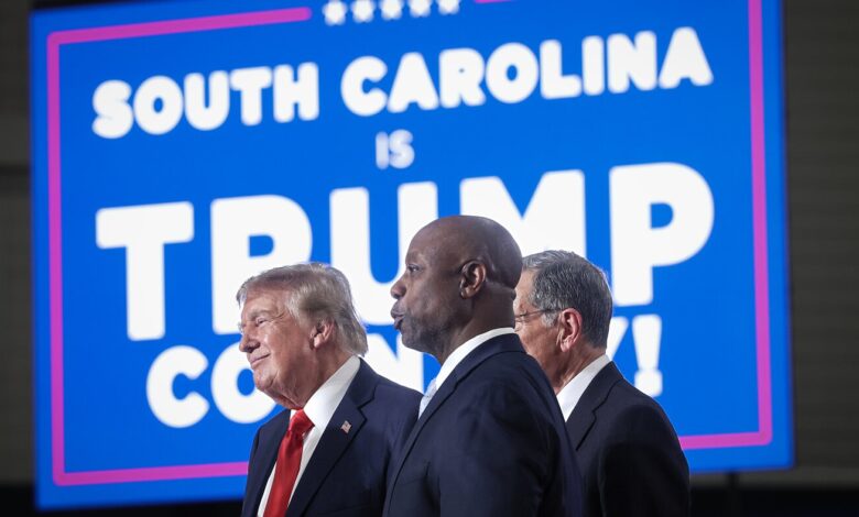 South Carolina U.S. senate runoff election will test Trump’s endorsement South Carolina U.S. senate runoff election will test Trump’s endorsement