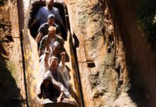 Disneyland warns not to stand up on its log-flume ride or risk getting booted from the park