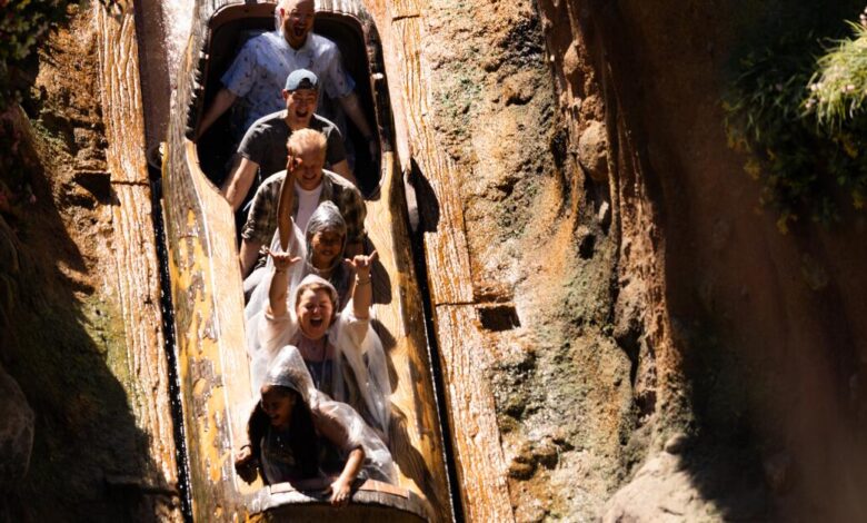 Disneyland warns not to stand up on its log-flume ride or risk getting booted from the park Disneyland warns not to stand up on its log-flume ride or risk getting booted from the park