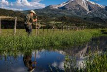 Big oil and gas companies are partly responsible for California’s water woes, study finds