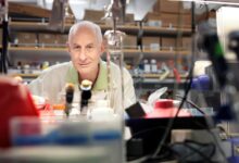 From mice to ‘gym rats’: Unregulated use of peptides raises alarm among researchers