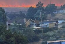 Thousands evacuated as Hawk fire burns over 10,000 acres near Reno