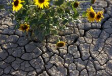 As Colorado River reservoirs shrink, Arizona warns of a legal fight