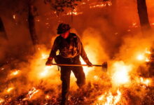 A wildfire caused millions in damages in Napa County. A winery worker is accused of causing it