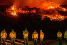 ‘Measured in weeks, not days’: Plaskett and Timber fires near Big Sur scorch 33,000 acres
