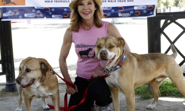 L.A. County authorities discover 251 dogs at ‘The Exorcist’ actor Linda Blair’s dog kennel L.A. County authorities discover 251 dogs at ‘The Exorcist’ actor Linda Blair’s dog kennel