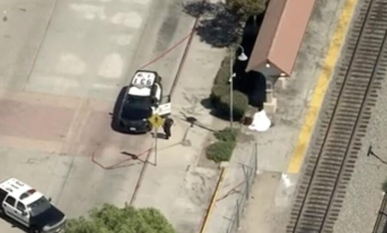 Man stabbed to death on Metrolink platform in San Fernando Valley Man stabbed to death on Metrolink platform in San Fernando Valley