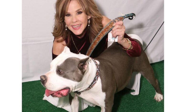 ‘The Exorcist’ actor Linda Blair’s home and dog kennels searched by L.A. County officials ‘The Exorcist’ actor Linda Blair’s home and dog kennels searched by L.A. County officials