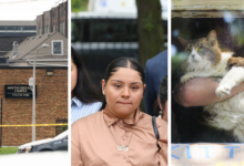 Illinois’ fraught funeral home oversight