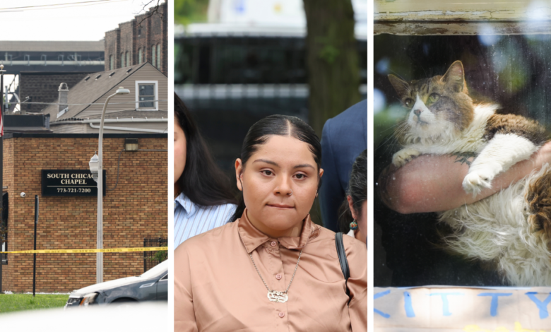 Illinois’ fraught funeral home oversight
