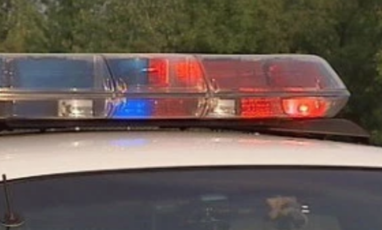 4 taken into custody after fight involving 2 off-duty Chicago police officers