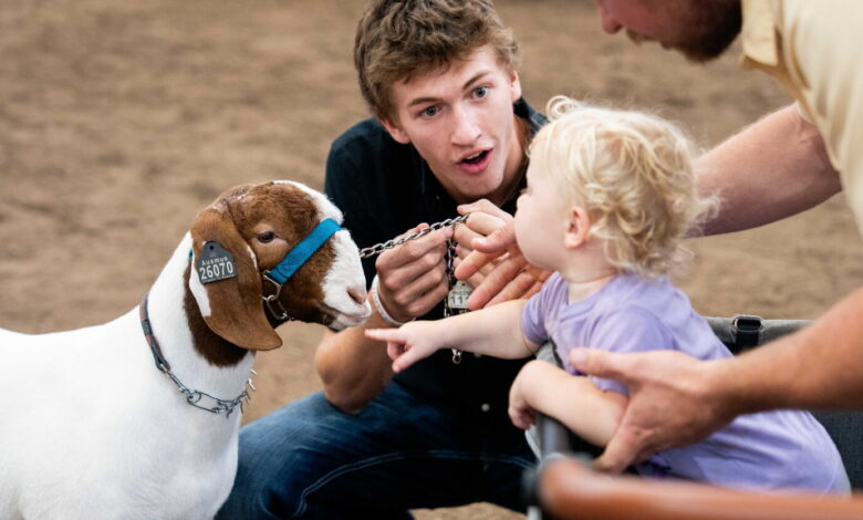Photos: Illinois State Fair in Springfield