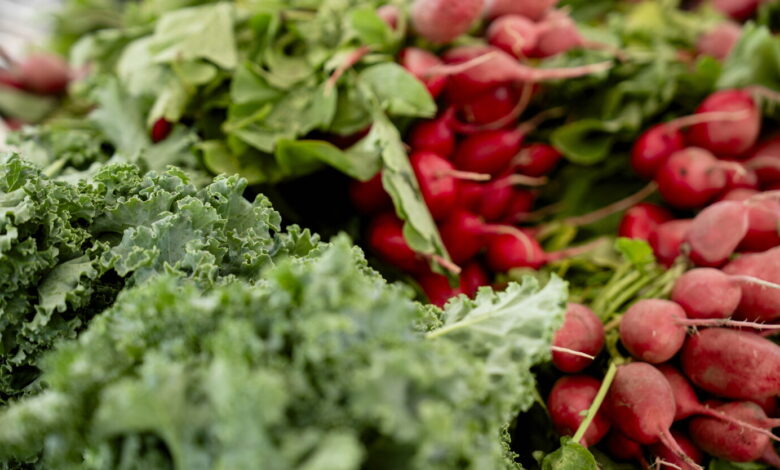 First Illinois lawsuit linked to Cyclospora outbreak filed by Chicago librarian First Illinois lawsuit linked to Cyclospora outbreak filed by Chicago librarian