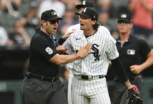 White Sox put Davis Martin on injured list, call up Jose Urquidy