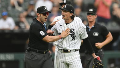 White Sox put Davis Martin on injured list, call up Jose Urquidy
