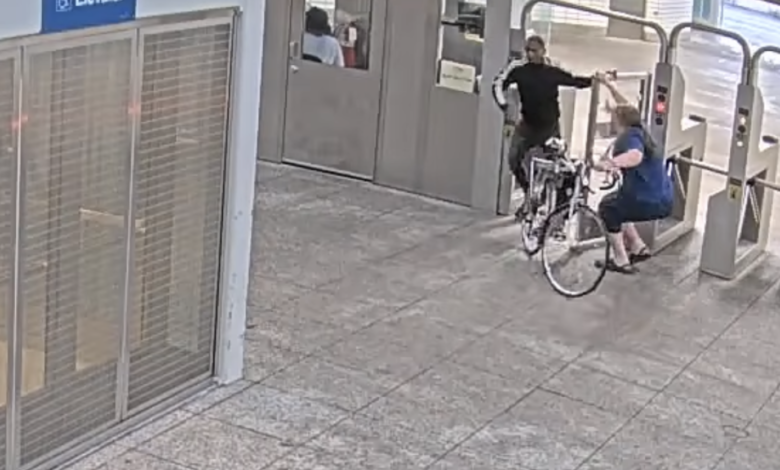K9 guards stood by as fare evader pushed woman, breaking her leg at Red Line station: lawsuit