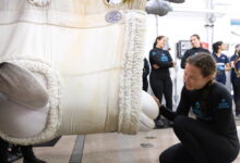 One of the Shedd’s rescued beluga whales has died