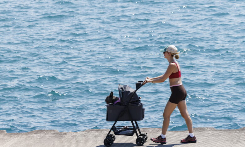 Chicago under heat warning for 4th day Chicago under heat warning for 4th day