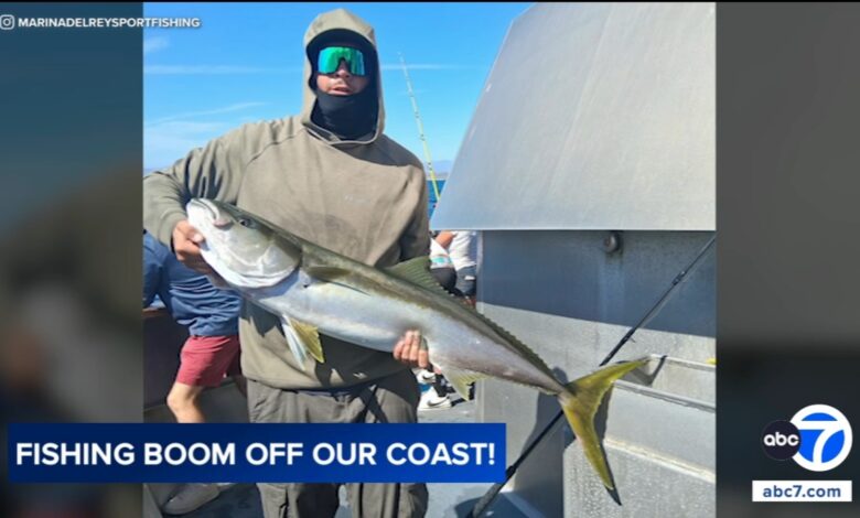 Warm ocean waters bring unusual fishing boom off Southern California coast