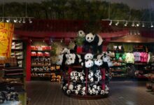 Giant pandas arrive at Zoo Atlanta, renewing conservation partnership
