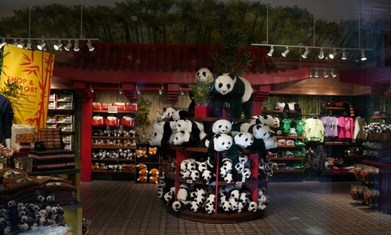 Giant pandas arrive at Zoo Atlanta, renewing conservation partnership Giant pandas arrive at Zoo Atlanta, renewing conservation partnership