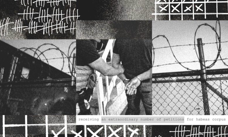 These Judges Take Months to Decide If Immigrants Have Been Unlawfully Detained