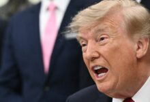 ‘This Guy’s Brain Is Gone’: Trump Ripped After ‘Incredibly Stupid’ New Hot Take