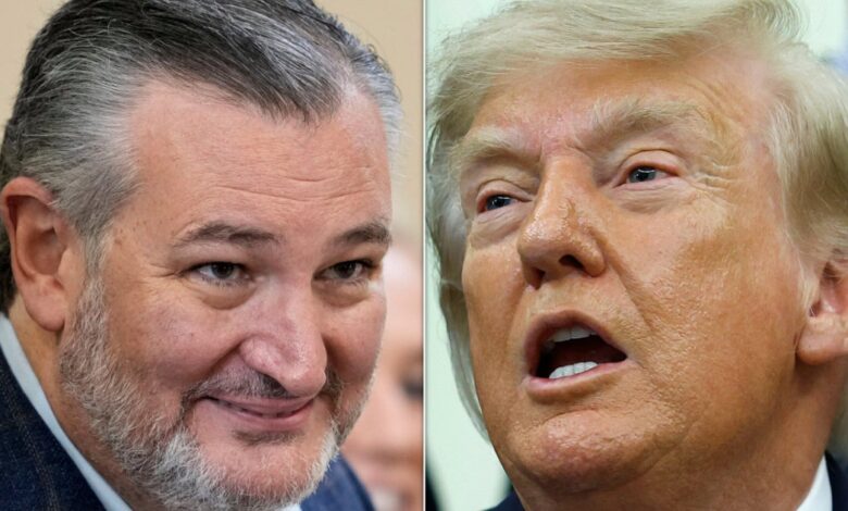 Ummm… Ted Cruz Has Something To Say About Trump’s ‘Balls’