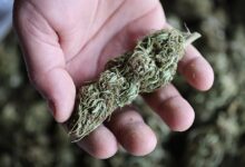 Congress Passes Bill Delaying Ban On Hemp THC Products