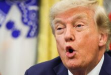 ‘My Skin Is Crawling’: Critics Horrified By Trump’s ‘Disgraceful’ New Monument