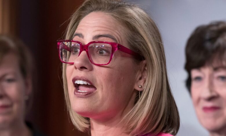 Judge Rules Kyrsten Sinema Can Be Sued Under North Carolina’s ‘Homewrecker’ Law Judge Rules Kyrsten Sinema Can Be Sued Under North Carolina’s ‘Homewrecker’ Law