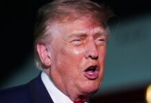 Conservative Columnist Explains Exactly Why Trump’s New Idea Is ‘Catastrophic’ In Every Sense