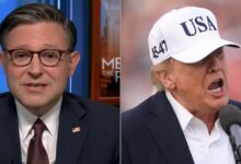 Mike Johnson Downplays Idea That Trump’s ,000 Checks Are To ‘Buy Votes’