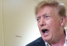 ‘This Man’s Brain Is A Potato’: Trump Roasted After Reviving His Strangest Feud