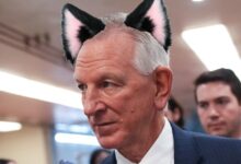 MAGA Sen. Goes On A Tear Over Furries In The Airline Industry