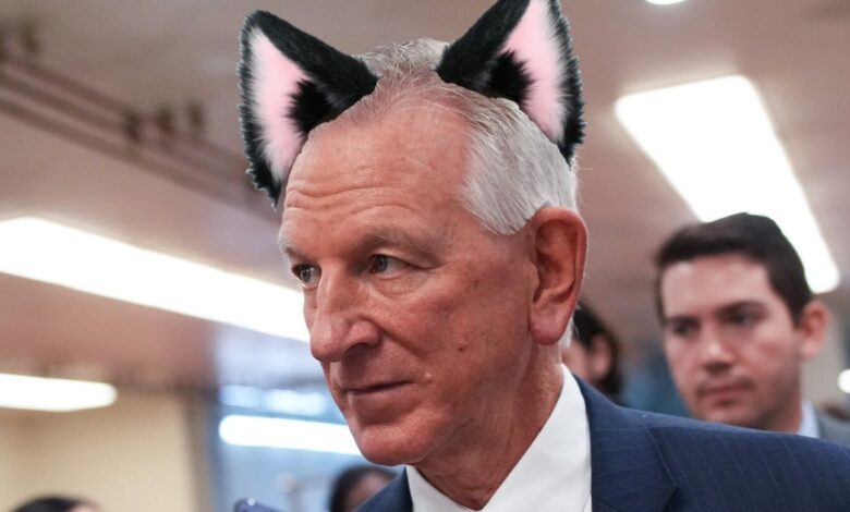 MAGA Sen. Goes On A Tear Over Furries In The Airline Industry