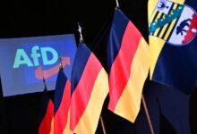 How the AfD Benefits Politically From the Ukraine War’s Backlash