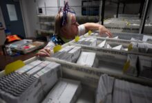Ballots discounted for late postmarks surged in Washington and Oregon after Postal Service changes – WTOP News