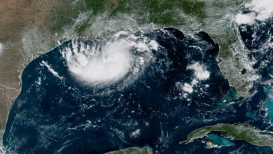 Tropical Storm Edouard arrives on the Texas and Louisiana coasts after gaining strength in the Gulf – WTOP News