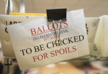 ‘Untested’ system for voting by mail could ‘derail’ midterm, whistleblower claims
