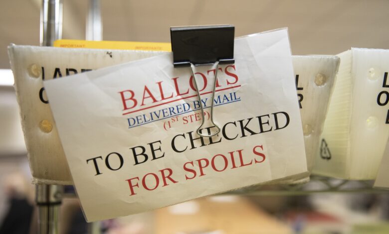 ‘Untested’ system for voting by mail could ‘derail’ midterm, whistleblower claims ‘Untested’ system for voting by mail could ‘derail’ midterm, whistleblower claims