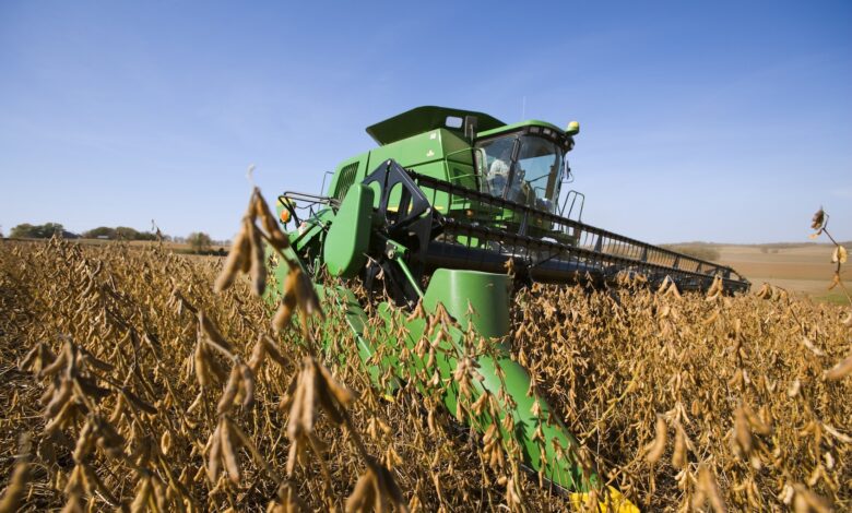 How soybeans took over the American diet – without anyone noticing How soybeans took over the American diet – without anyone noticing