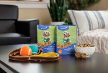 Girl Scouts’ first cookies for dogs will go on sale in January – WTOP News