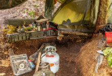 Inquiry into New Zealand man who hid his kids in forest for years lambasts officials’ actions – WTOP News